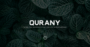 Qurany Font 310x165 - Qurany Font Family Free Download