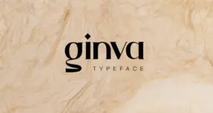 Ginva Font 310x165 - Ginva Serif Font Free Download