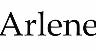 Arlene Font 310x165 - Arlene Font Family Free Download