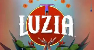 Luzia Font e1736310885367 310x165 - Luzia Font Family Free Download