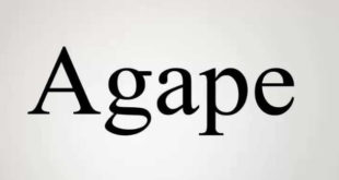 Agape Font 310x165 - Agape Font Family Free Download