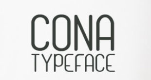 Cona Typeface 310x165 - Cona Typeface Free Download