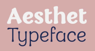 Aesthet Font 310x165 - Aesthet Font Family Free Download