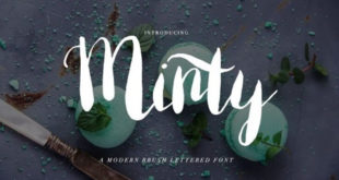 Minty Brush Font 310x165 - Minty Brush Font Free Download