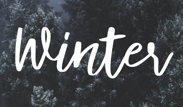 Syberic Script Font