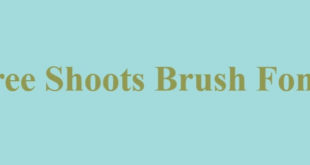 Tree Shoots Brush Font 310x165 - Tree Shoots Brush Font Free Download