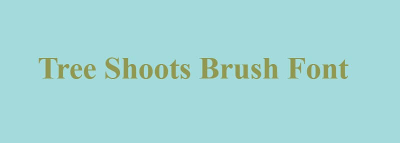 Tree Shoots Brush Font