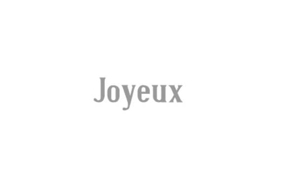 Joyeux Font