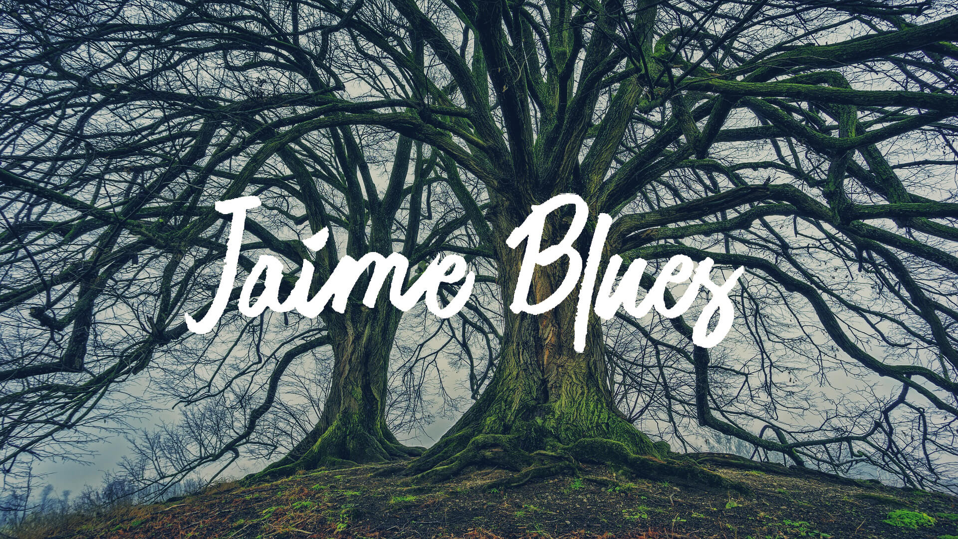 jaime Blues font