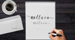 molluca script font 310x165 - Molluca Script Font Free Download