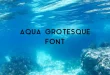 aqua grotesque font feature 110x75 - Aqua Grotesque Font Free Download