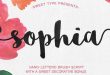 Brush Typography Font