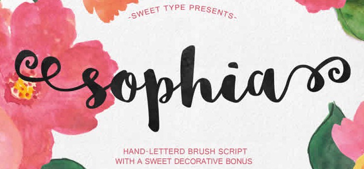 Brush Typography Font