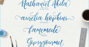 Dandelion Font 310x165 - Dandeleón Script Font Free Download