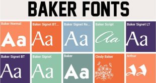 baker font 310x165 - Baker Signet Font Free Download