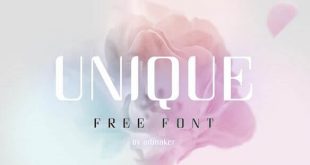 unique font 310x165 - Unique Font Free Download