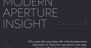 ageo font 310x165 - Ageo Geometric Sans Font Free Download