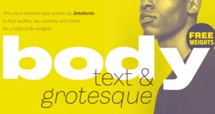 body font 310x165 - Body Font Free Download