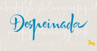 despinda font 310x165 - Despeinada Font Free Download