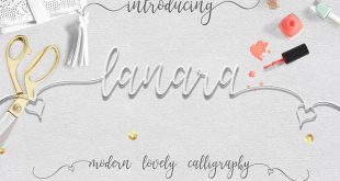 lanara font 310x165 - Lanara Script Font Free Download