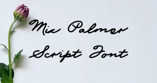 Mix Palmer Script Font