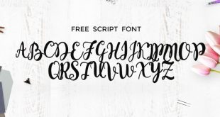 monogram font 310x165 - Monogram Script Font Free Download