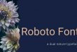 Roboto Font