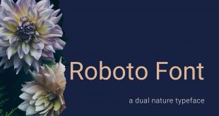 Roboto Font