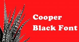 Cooper Black Font