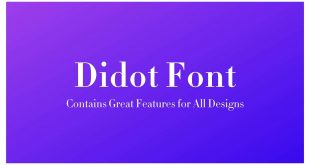 Didot Font 310x165 - Didot Font Family