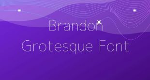 Brandon Grosteque Font