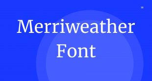 Merriweather Font