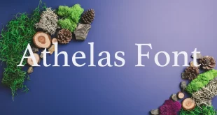 Athelas Font 310x165 - Athelas Font Free Download