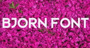 Bjorn Font 310x165 - Bjorn Font Free Download