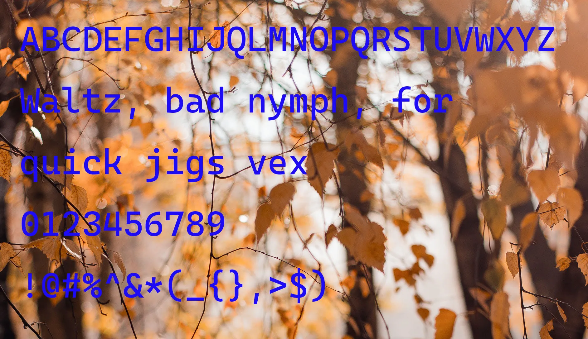 Cascadia Code Font