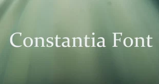 Constantia Font 310x165 - Constantia Font Family