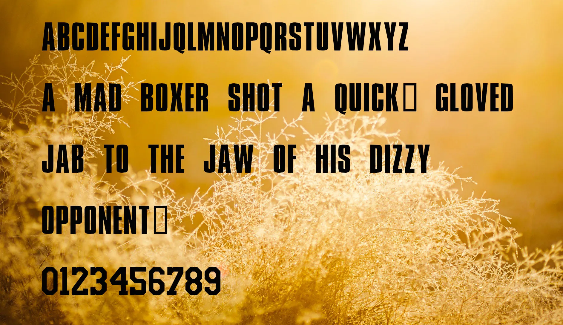 Lakers Font