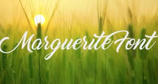 Marguerite Font 310x165 - Marguerite Font Free Downlaod