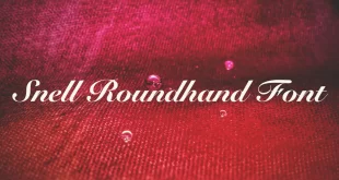 Snell Roundhand Font 310x165 - Snell Roundhand Font Free Download