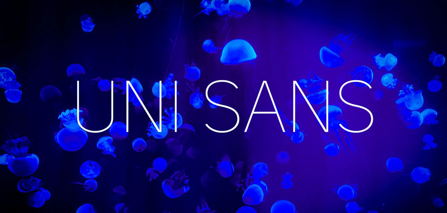 Uni Sans Font Family Free Download