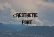 aesthetic font feature 110x75 - Aesthetic Font Free Download