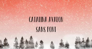 catalina avalon sans font feature 310x165 - Catalina Avalon Font Free Download