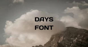 days font feature 310x165 - Days Font Free Download