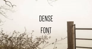 dense font feature 310x165 - Dense Font Free Download