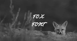 fox font feature 310x165 - Fox Font Free Download