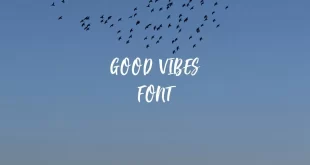 good vibes font feature 310x165 - Good Vibes Font Free Download