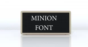 minion font feature 310x165 - Minion Font Family