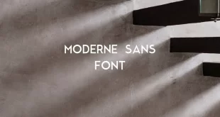 moderne sans font feature 310x165 - Moderne Sans Font Family