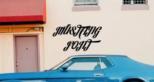 mustang font feature 310x165 - Mustang Font Family Free Download