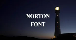 norton font feature 310x165 - Norton Font Family Free Download